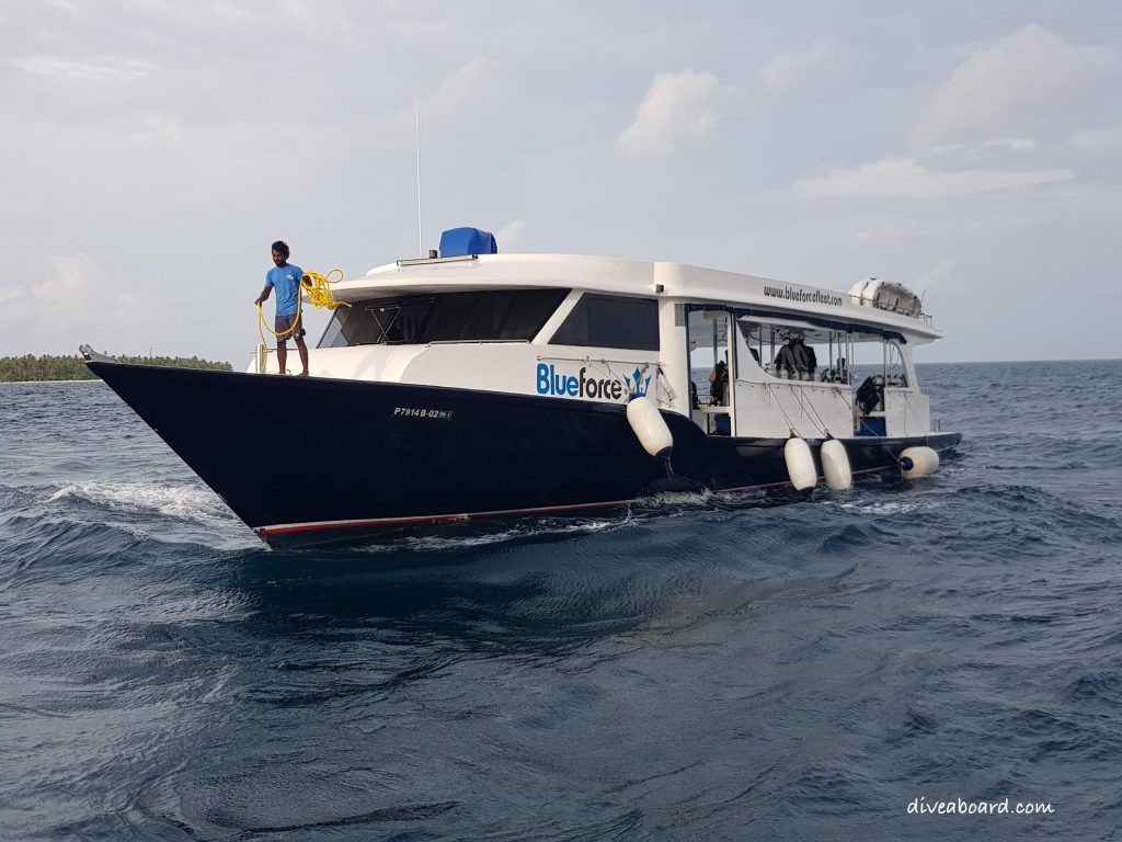 Book Your First Liveaboard Trip